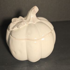 Pier 1 Hand Painted Dolomite Ceramic Lidded Distressed White Pumpkin‎